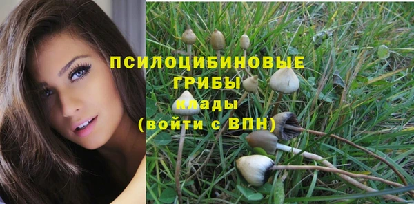 ECSTASY Струнино